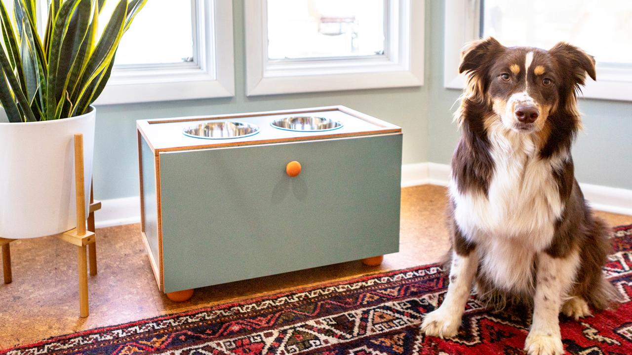 Diy dog feeding station with storage sale